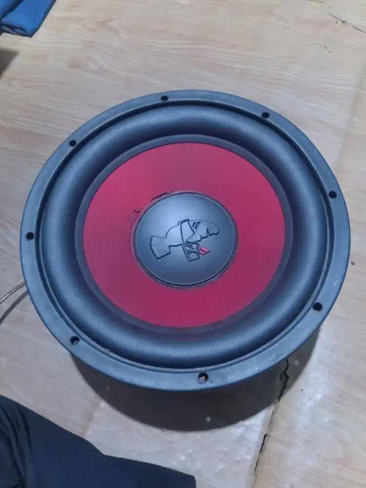 Salon 12 in mohak 4 coil