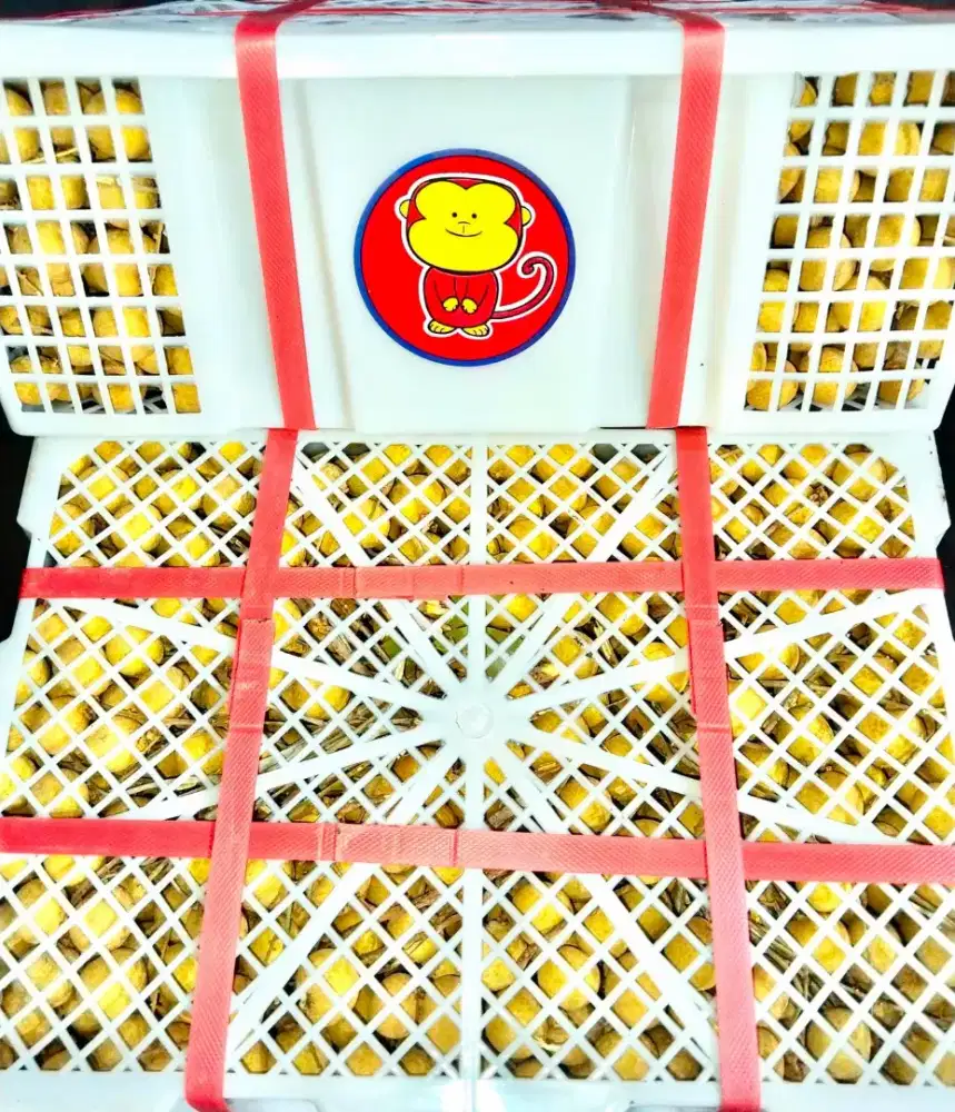 Kelengkeng supergemoll manisss