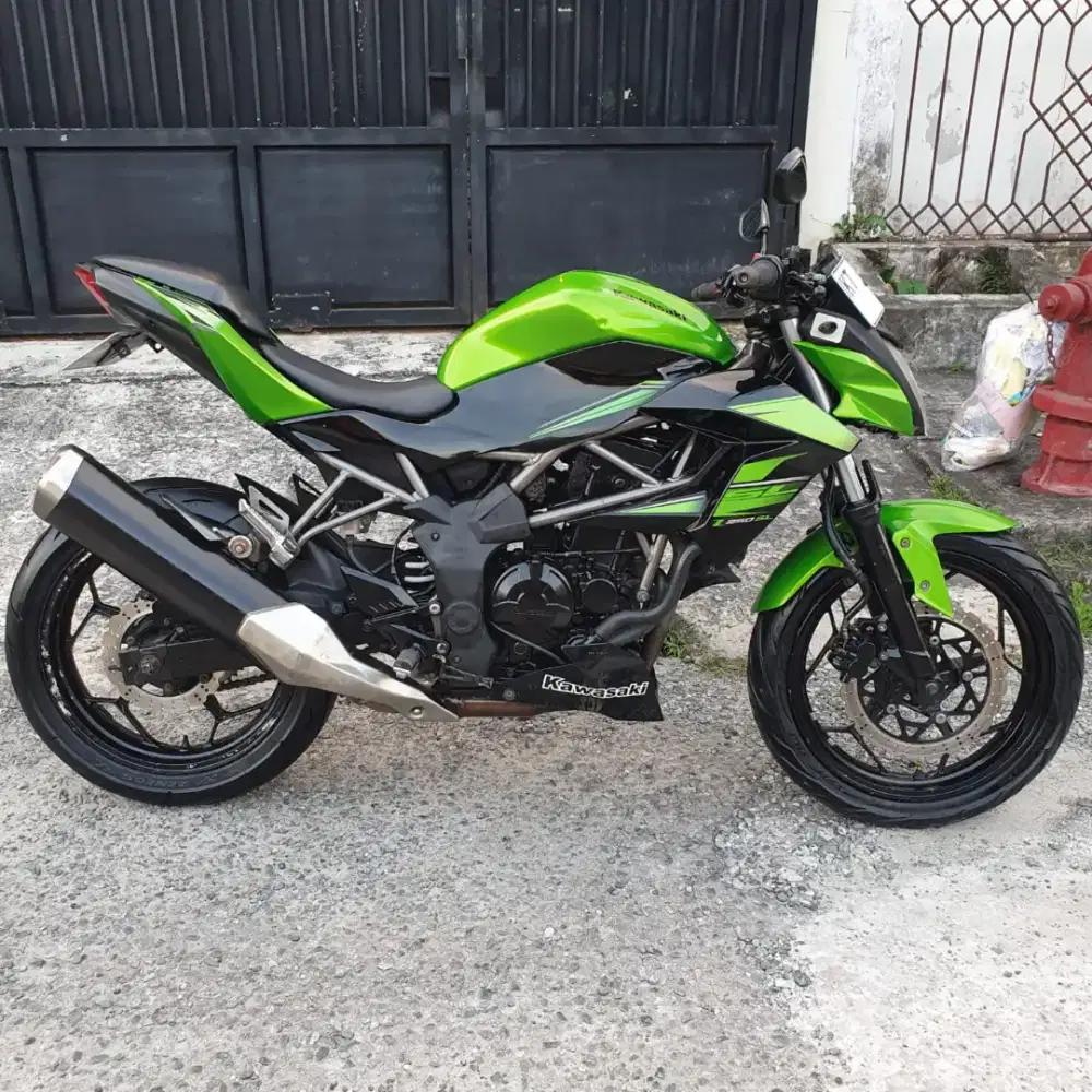 Kawasaki ninja 250SL