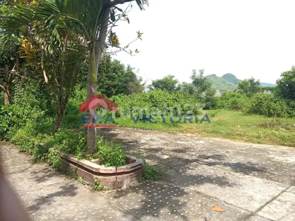 Disewakan Tanah Di Ngantru Trenggalek Area Tengah Kota Trenggalek Cocok Untuk Membangun Usaha Apapun