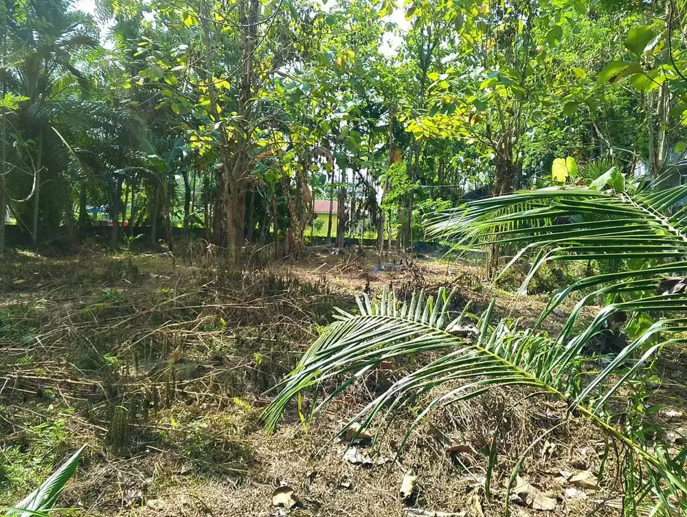 Dijual tanah SHM