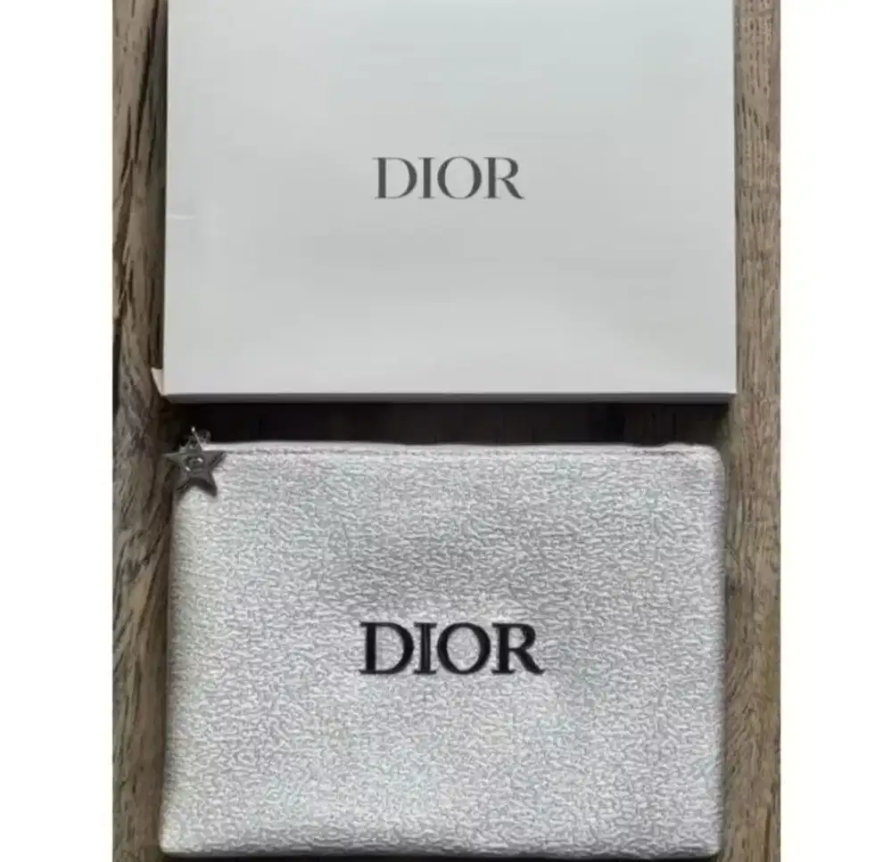 pouch DIOR original