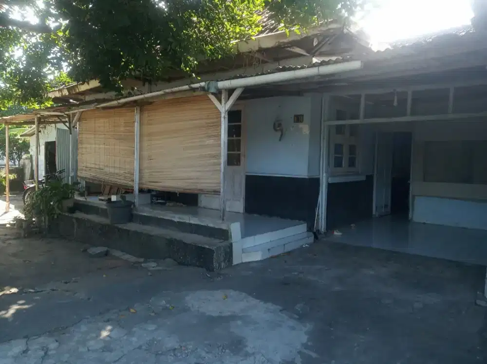 Les Calistung Murah