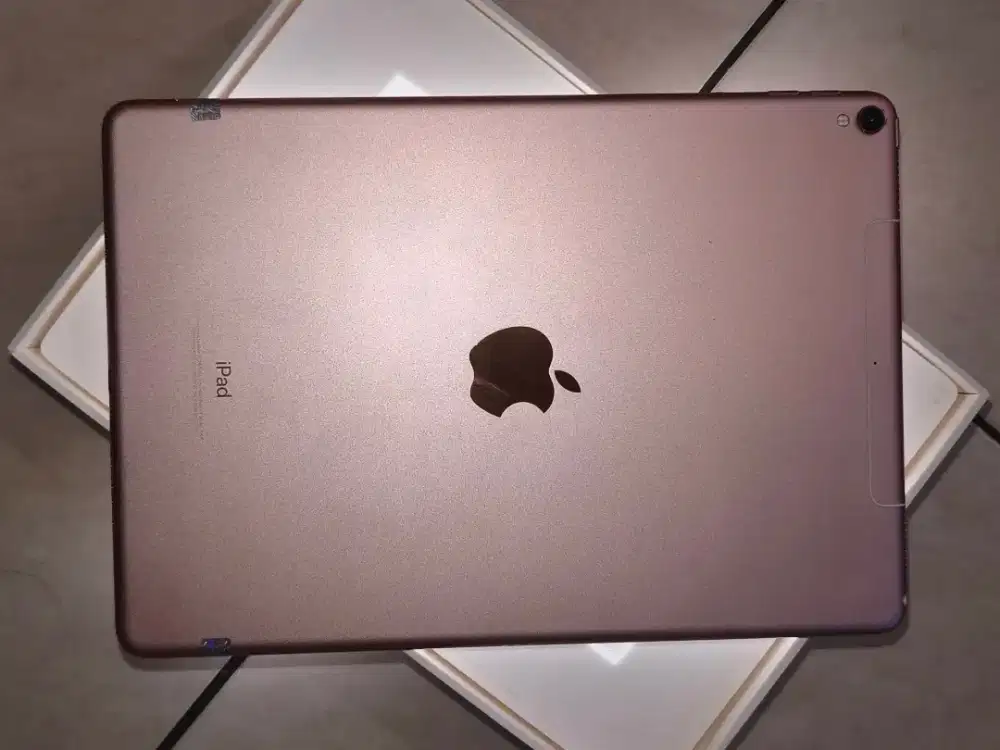 Ipad Pro 10,5 Inch 256 GB Fullset