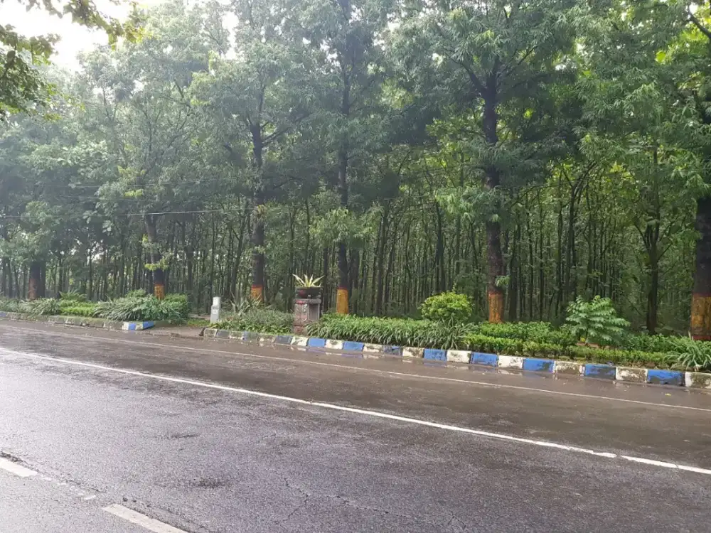 JUAL TANAH Mojosari propinsi