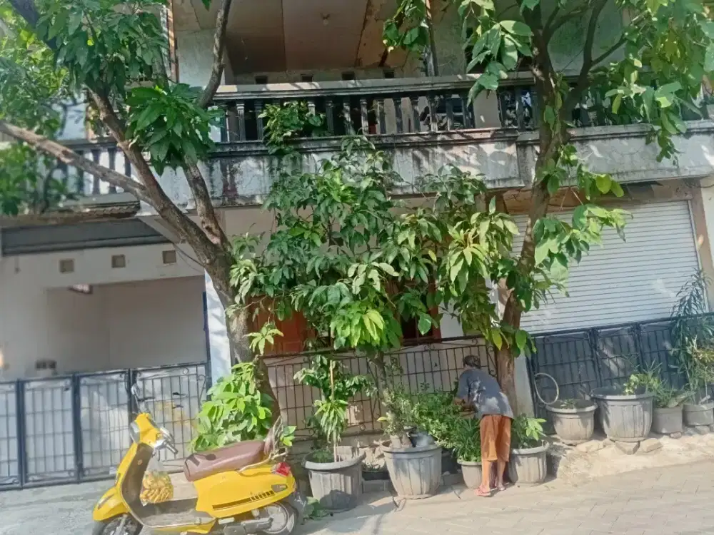 Rumah murah di kunciran