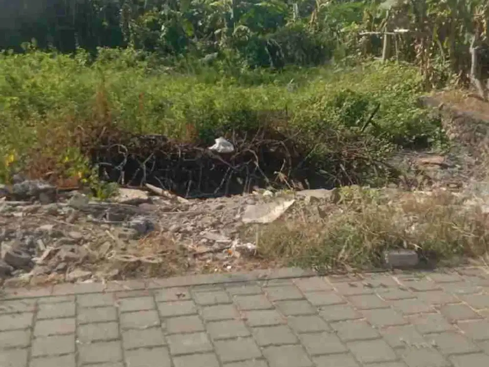 Jual Tanah Luas 150m/1.5are Zona Kuning Lokasi jl Batur Sari, Sanur Kauh area Strategis untuk investasi & Hunian.