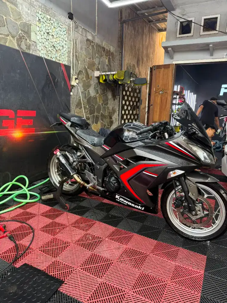 KAWASAKI NINJA 250 CC