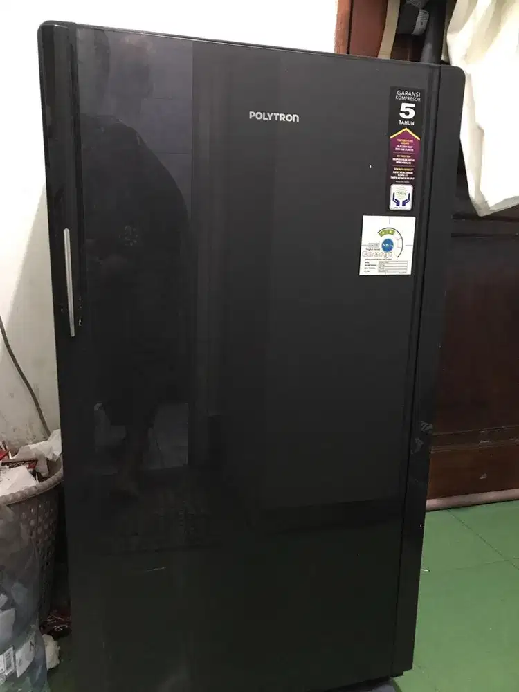 Polytron  ER60014306