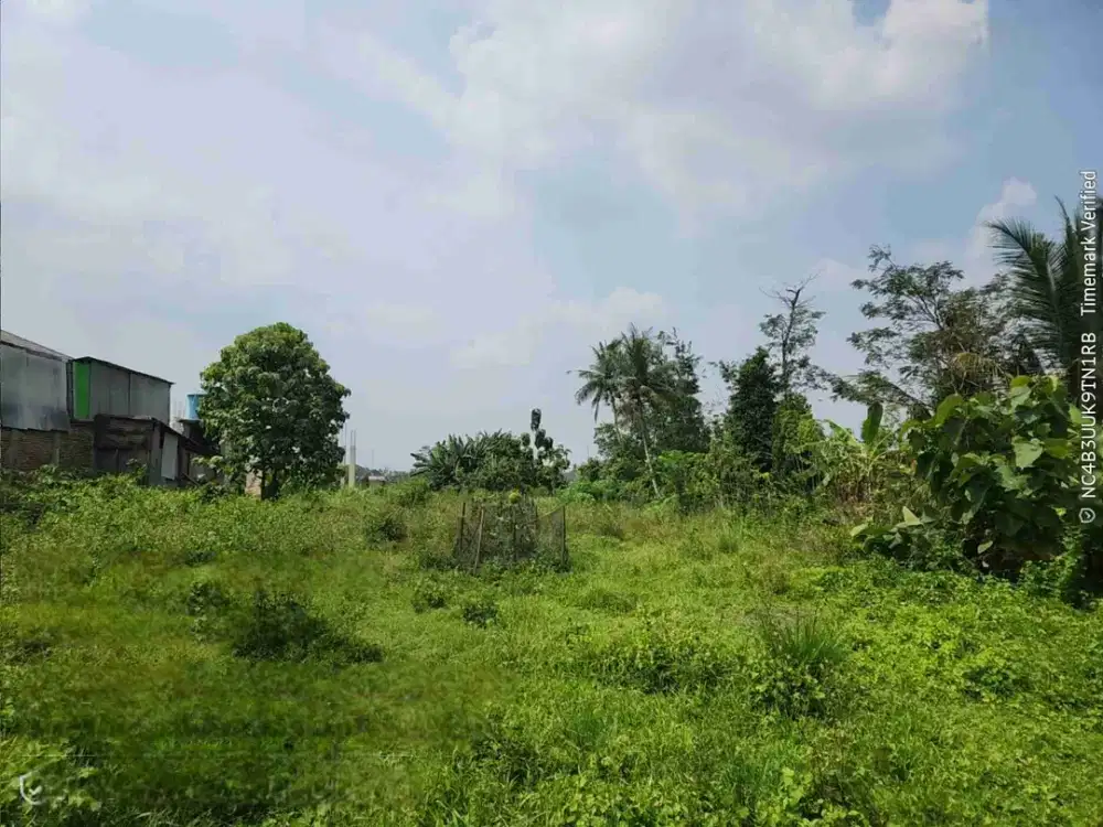 tanah jatimulyo luas 1878m