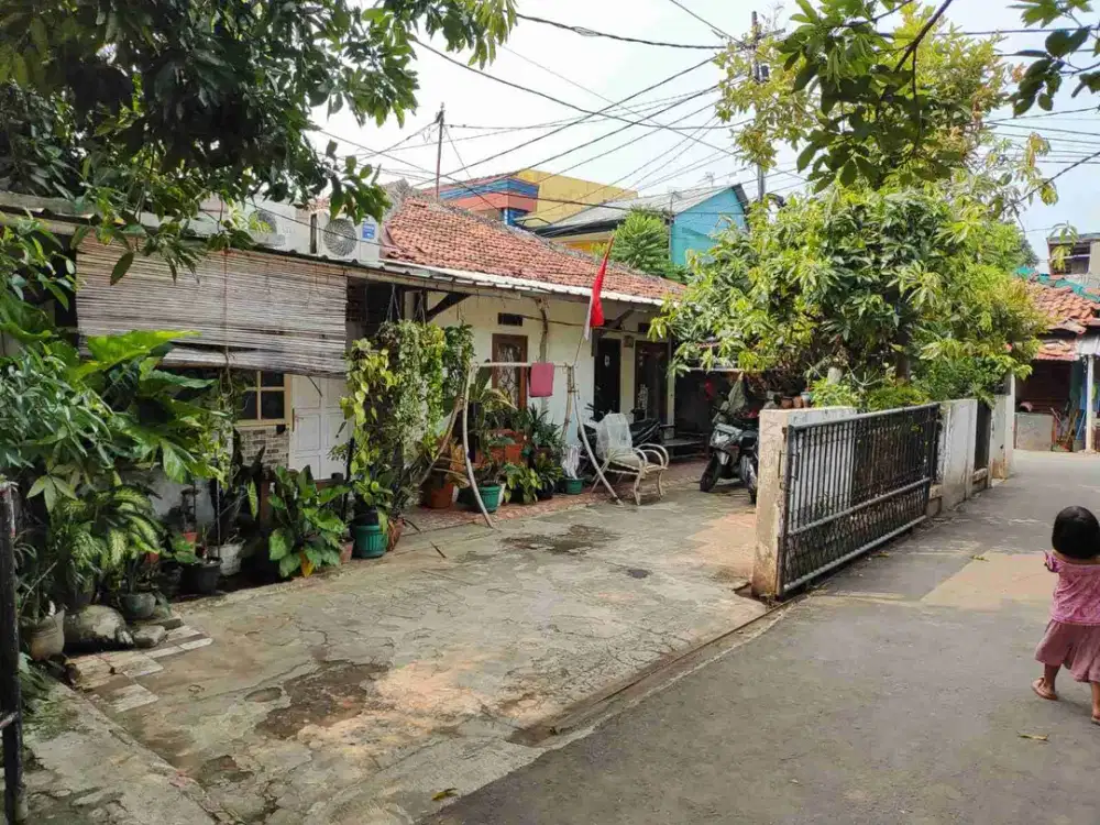 jual rumah perlu renovasi lokasi strategis bebas banjir. Ragunan Jakarta Selatan