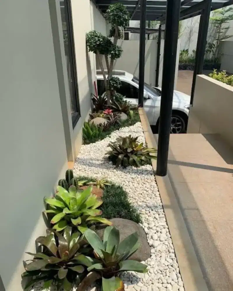 Pembuatan taman rumah minimalis
