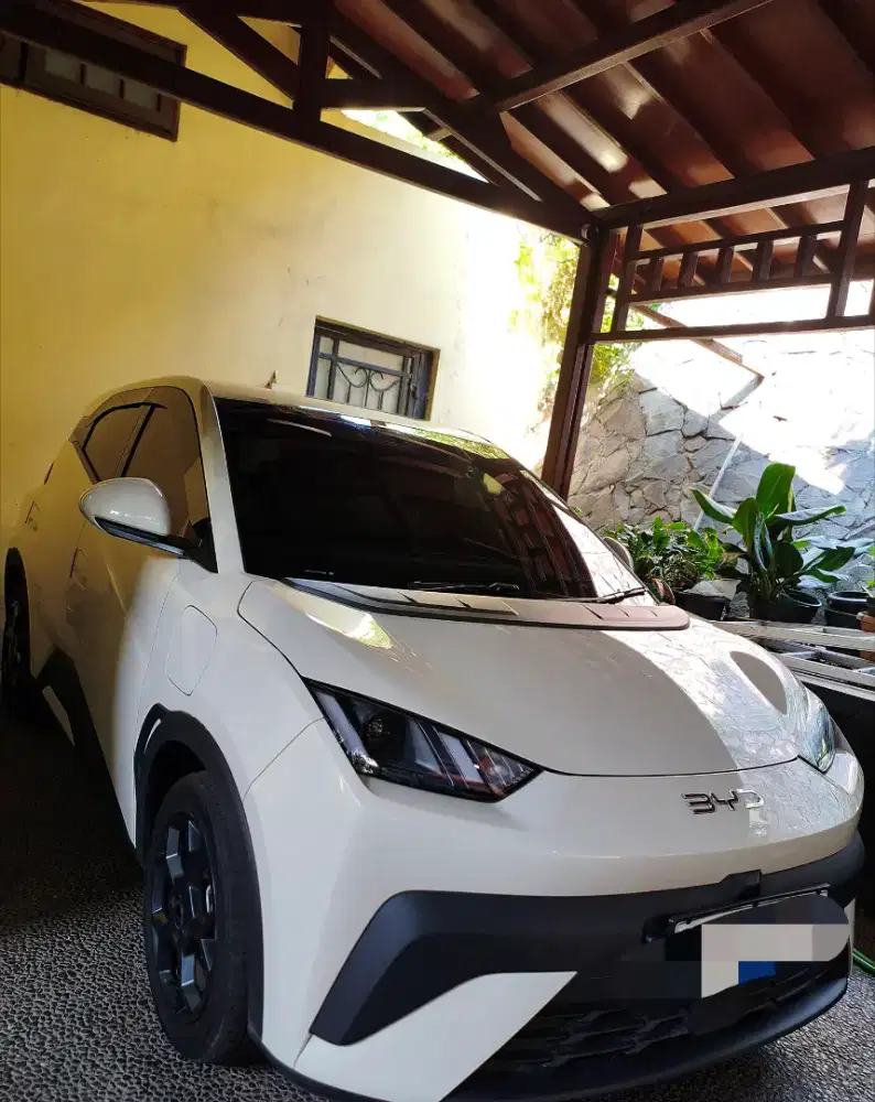 Byd Atto 1 dynamic 2026 (km 9500)