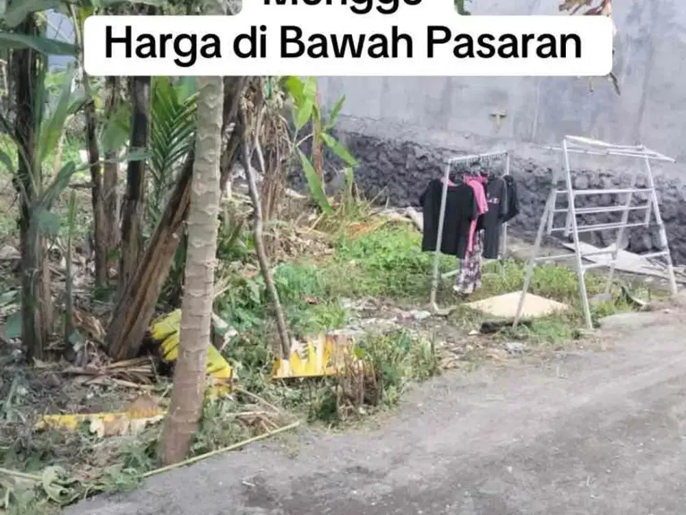 SALE Tanah SHM 2 Are Munggu Bawah Pasaran
