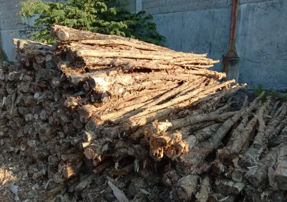 Kayu Gelam ( Kayu Dolken)