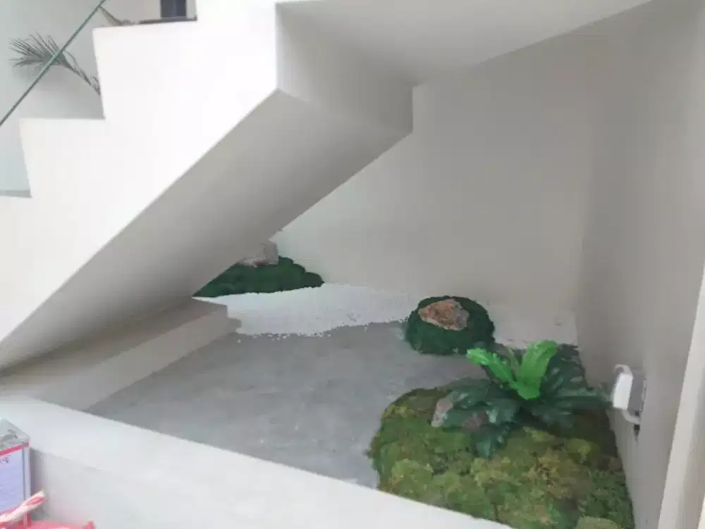 MOS lumut asli untuk taman Jepang