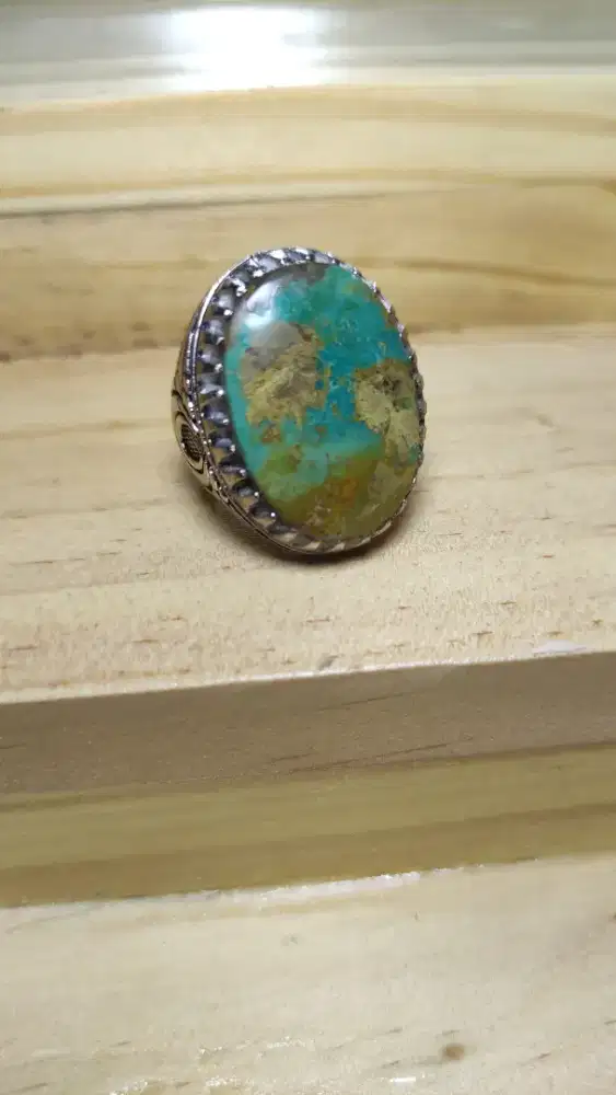 Pirus Persia original murah