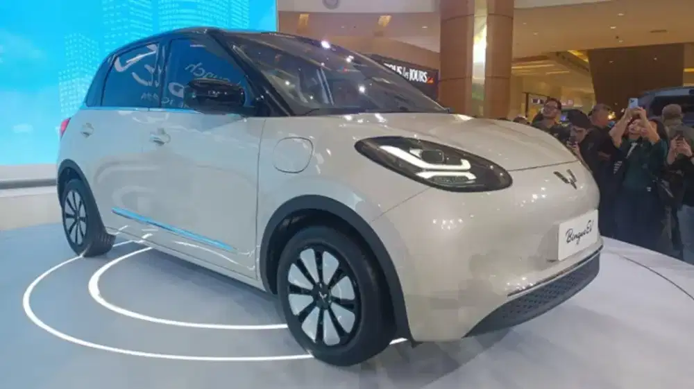 Wuling binguo EV lite