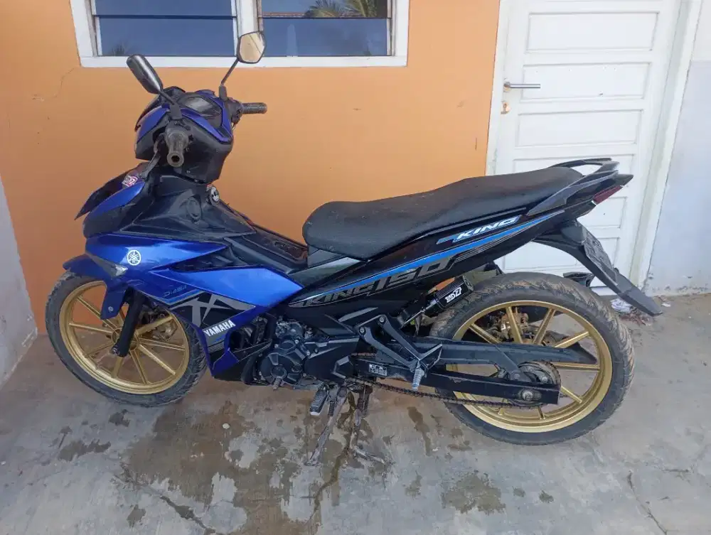 MX king 2019/2020