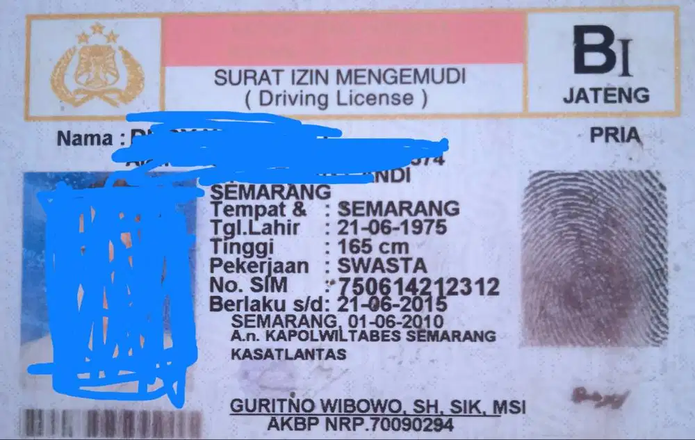 Freelance Pocokan