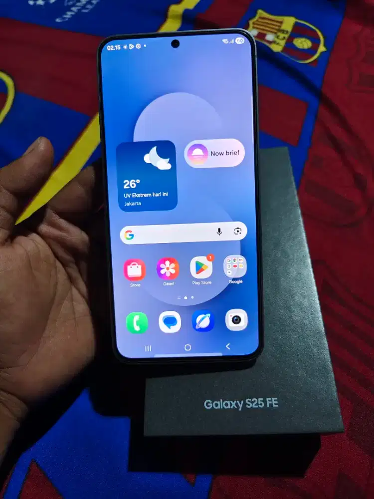 Samsung Galaxy S25FE
