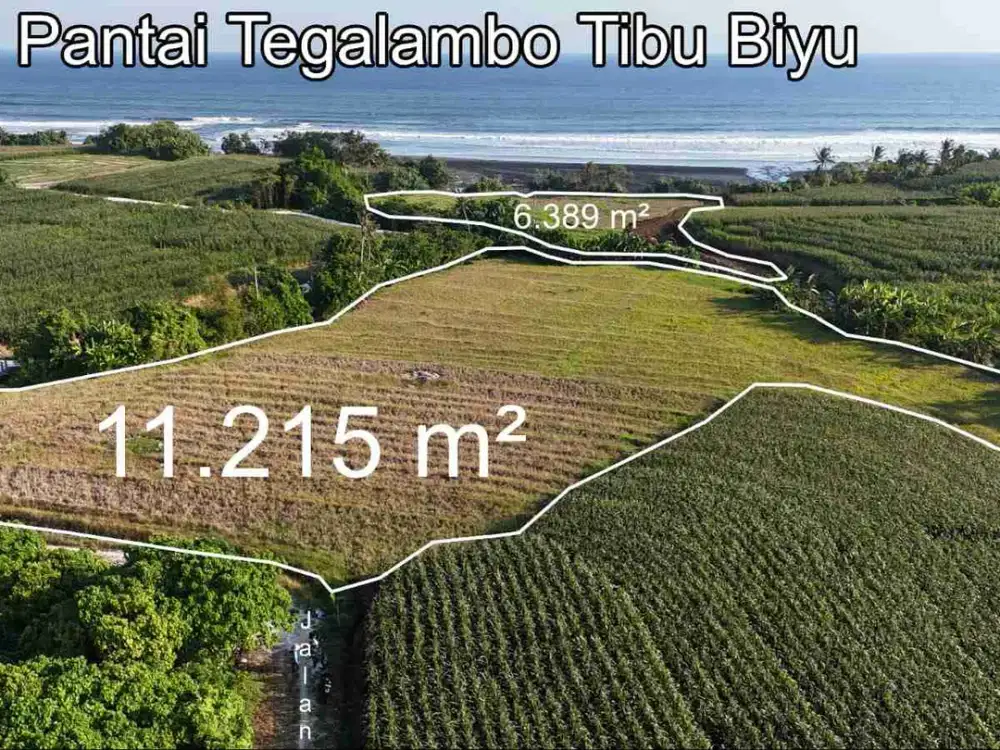 Tanah Los Sungai & Los Pantai Tegalambo Tibu Biyu Pasut Tabanan Bali