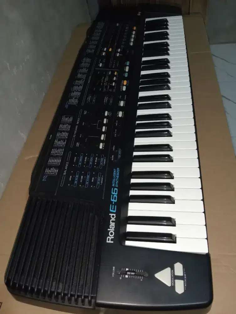 Roland E66 Disk Istimewa