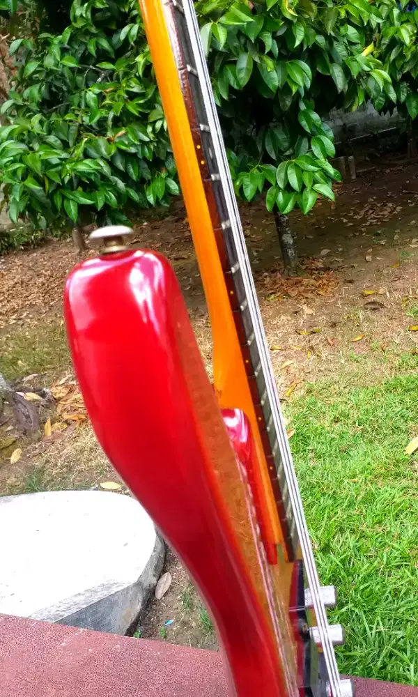 gitar bass sdgr custom +shoftcash