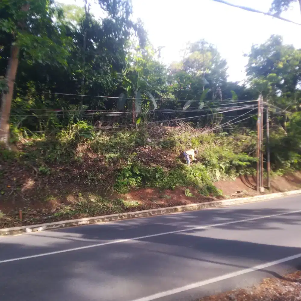 Di jual Tanah kebun  strategis pinggir jalan hanya 20 Km dr pusat kota