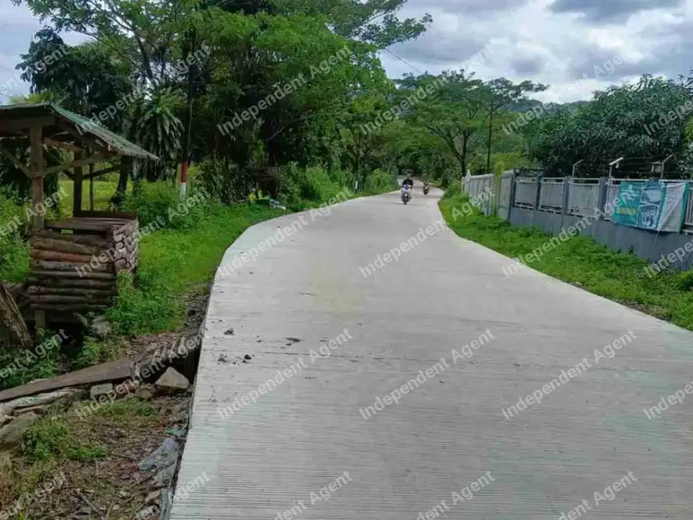 tanah pinggir jalan besar, bagus buat pertanian, peternakan, pesantren,. harga hanya 190ribu/m.