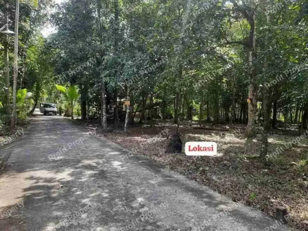 Tanah Cantik Murah Luas 890 Ld 26 di Barat Kota Wates