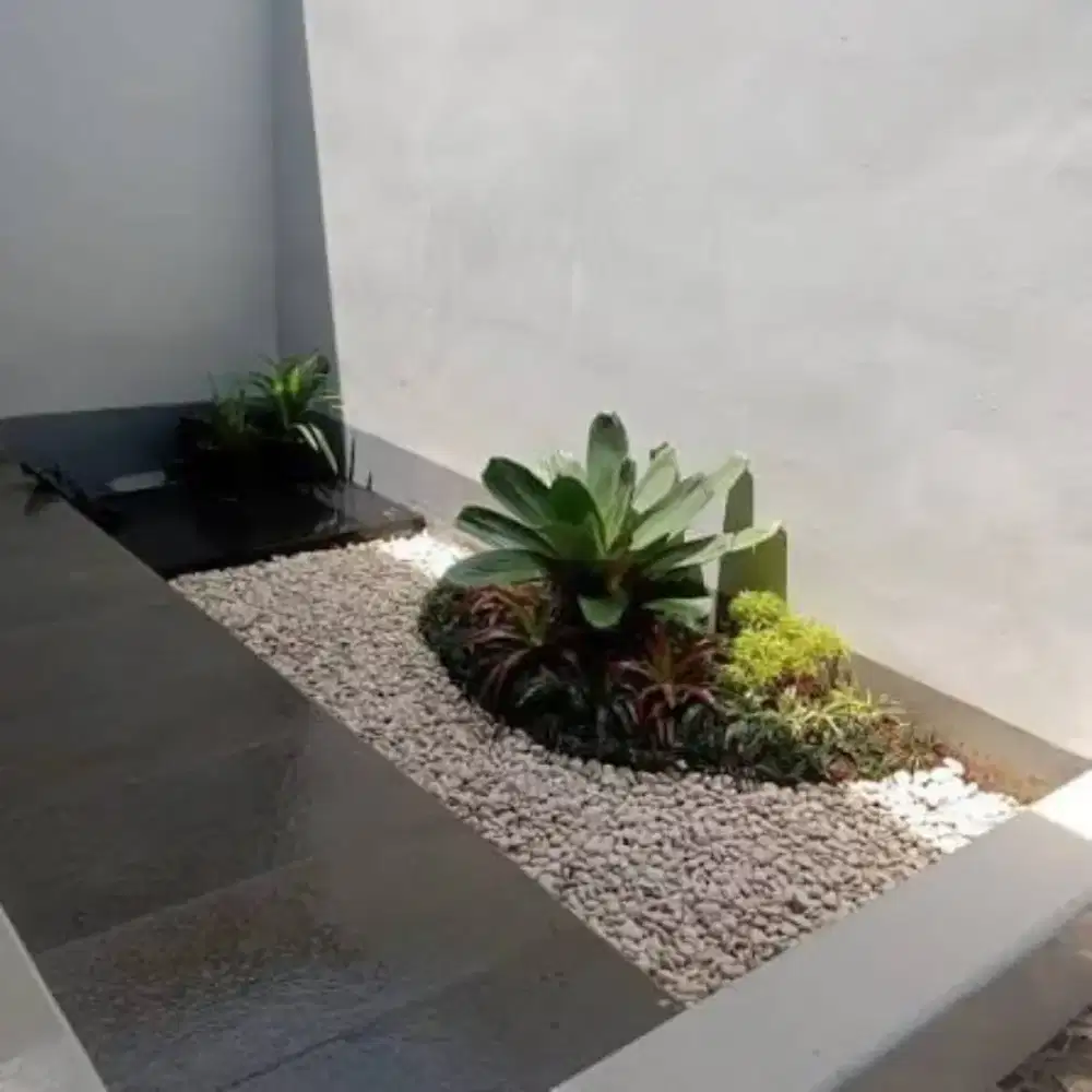 Pembuatan taman rumah taman kering