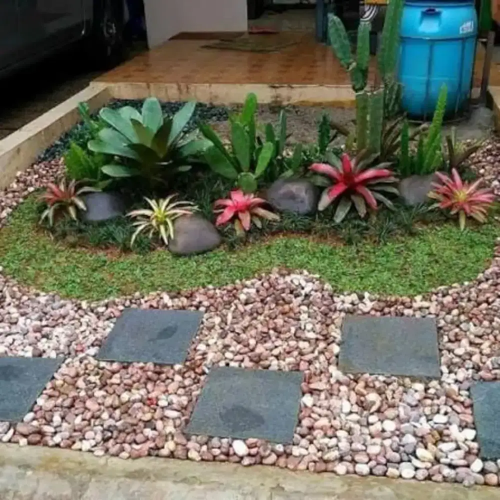 Pembuatan tamn rumah taman kering