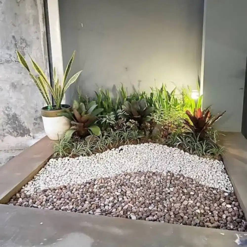 Tukang taman kering minimalis