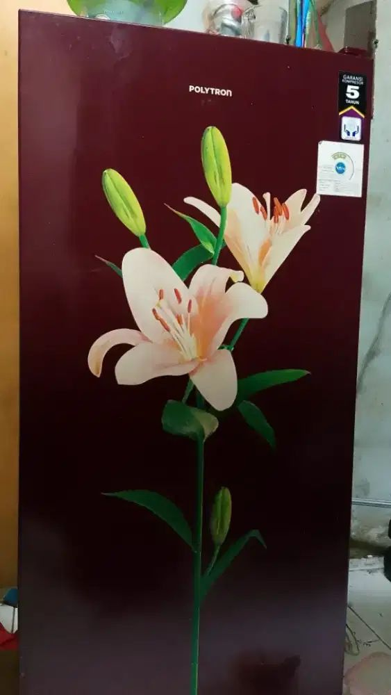 Kulkas Polytron 1 pintu