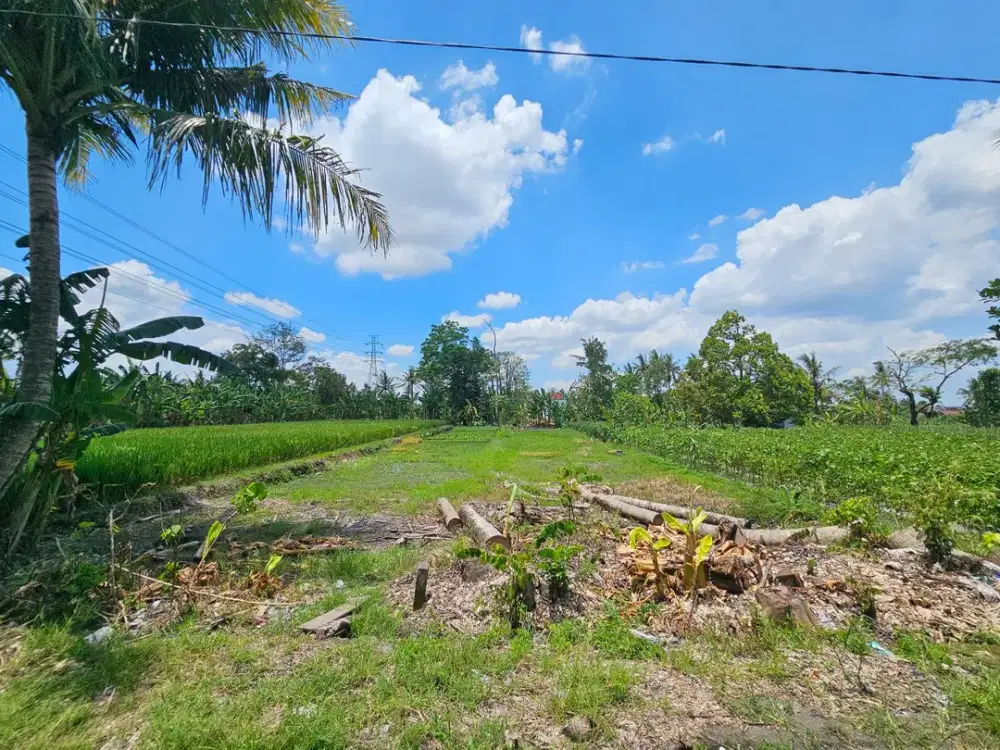 Tanah Pekarangan Dekat Tengkleng Gajah Jalan Kaliurang Km9 Ngaglik Sleman