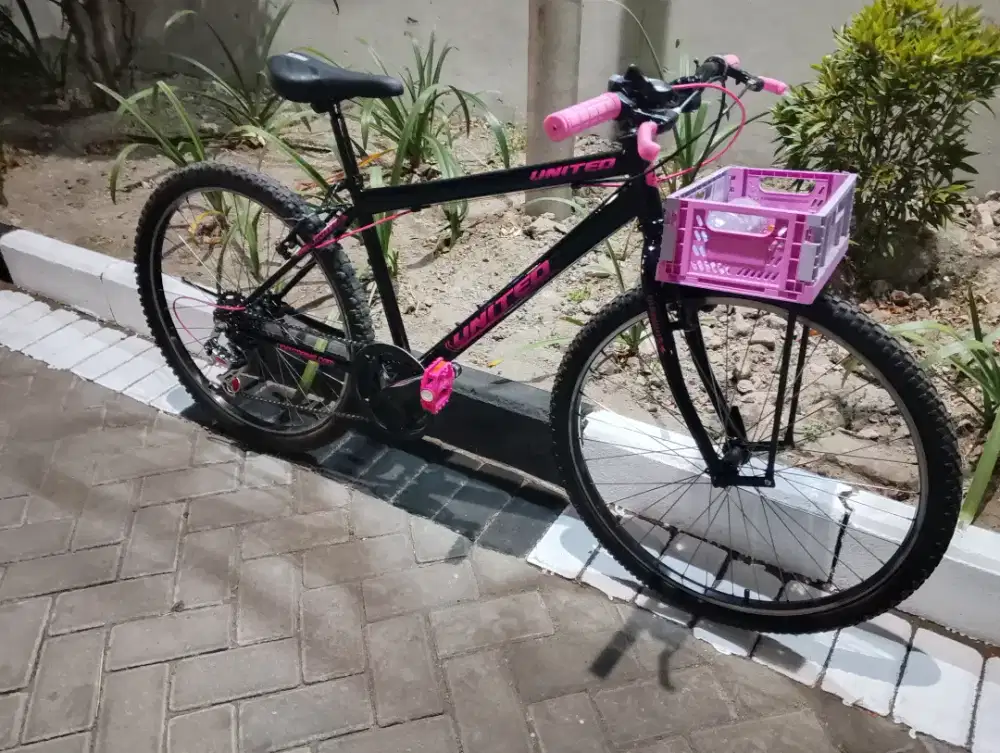 Sepeda Commuter Bike Ladies