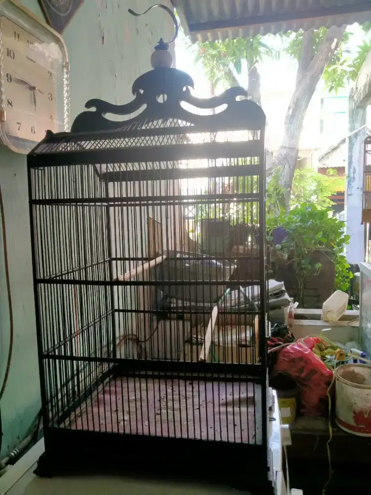 Omah lawas gawe manuk