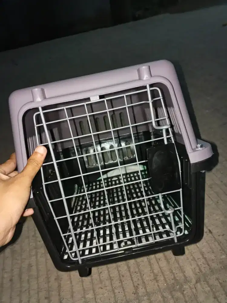 Petcargooo uk sedang