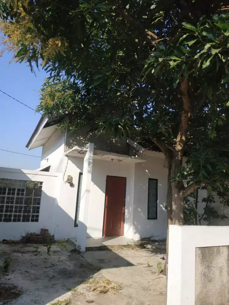 Murah Disewakan Per Tahun Rumah di Wonoayu, Sidoarjo