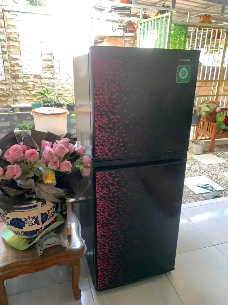 Kulkas sharp 2 pintu