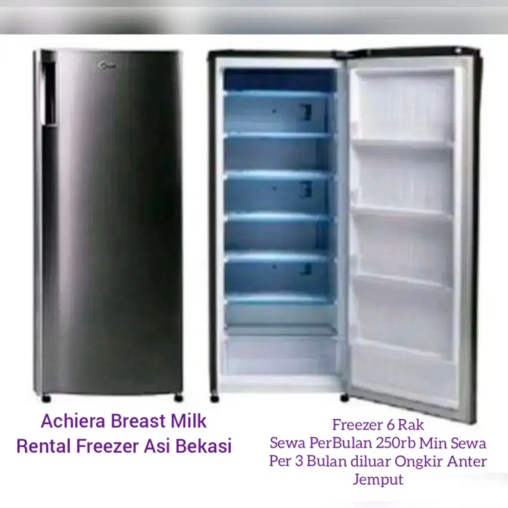 Rental Freezer ASI l B E K A S I