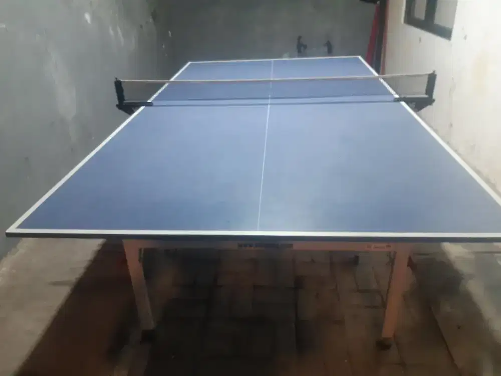 tenis meja/pingpong