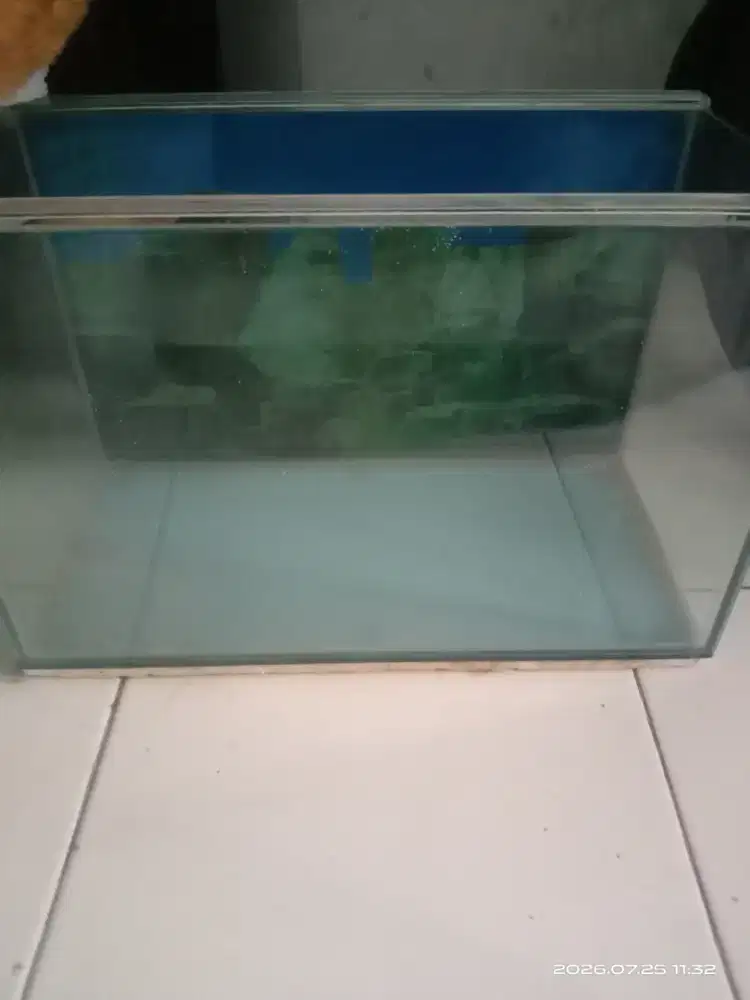 Aquarium panjang 30 lebar 20 tinggi 25