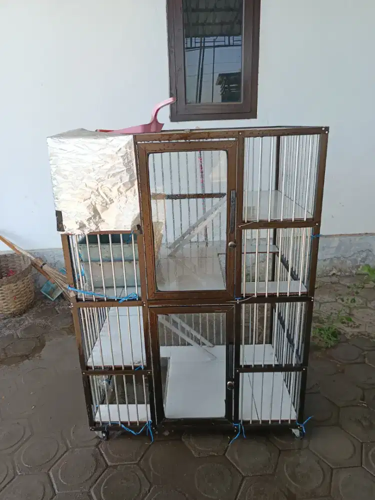Kandang Kucing Kualitas Mahal Awet Tahan Lama