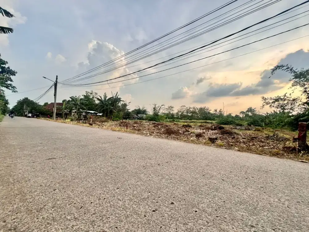 Dijual Murah Tanah Kavling Cisauk Dekat Stasiun Jatake BSD Free SHM
