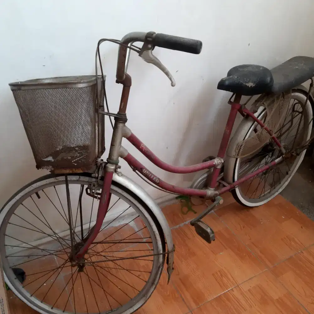 Dijual sepeda kondisi seadanya
