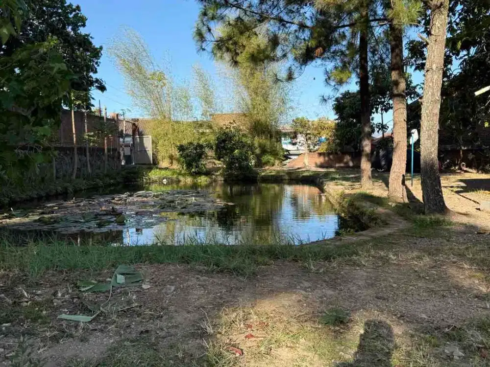 Rumah Dan Villa Bagus Tanah Luas Dan Balong