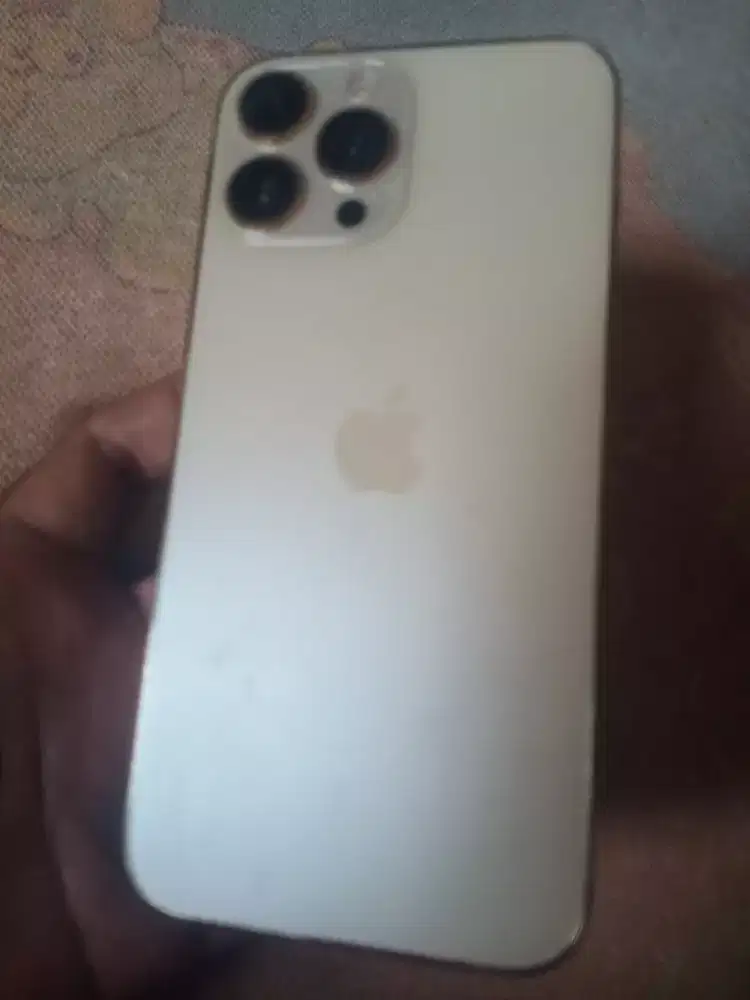 iPhone 13 pro max
