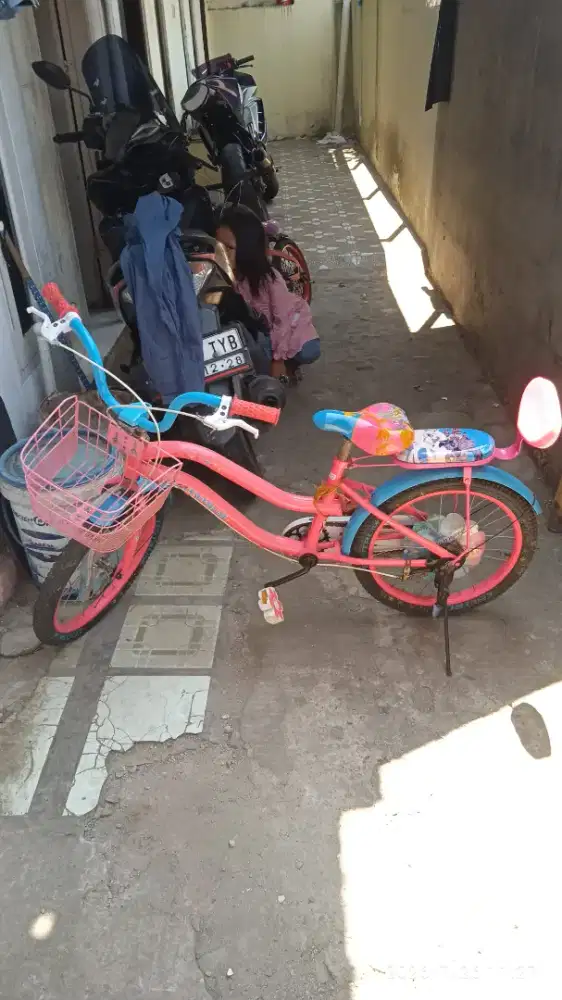 speda anak ukuran 18